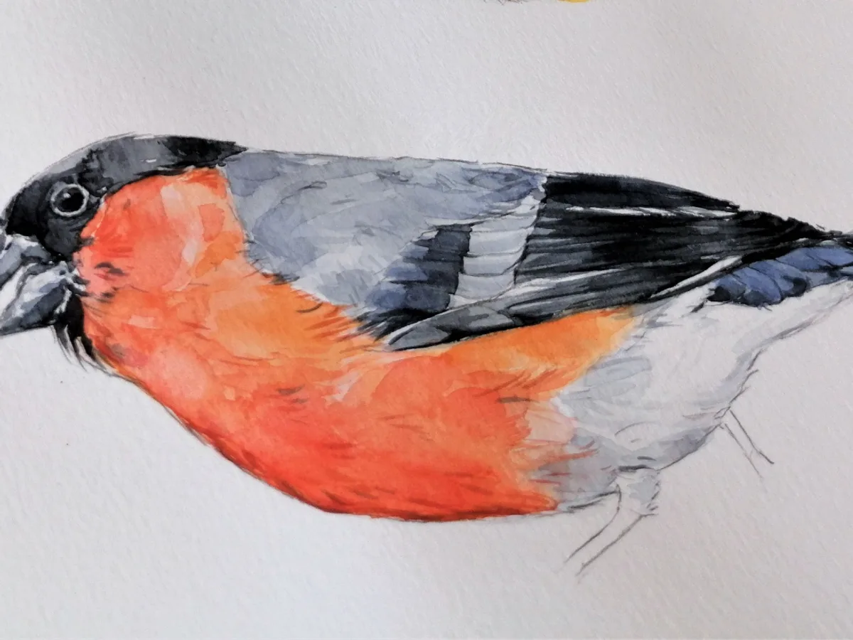Curso de Técnicas de Pintura a Base d’Água: Tinta Aquarela e Guache na Desenhe